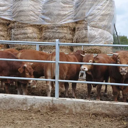 Grotta Nova בית נופש *