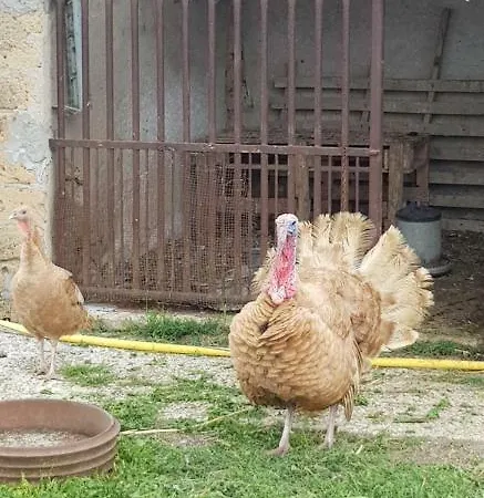 Grotta Nova בית נופש